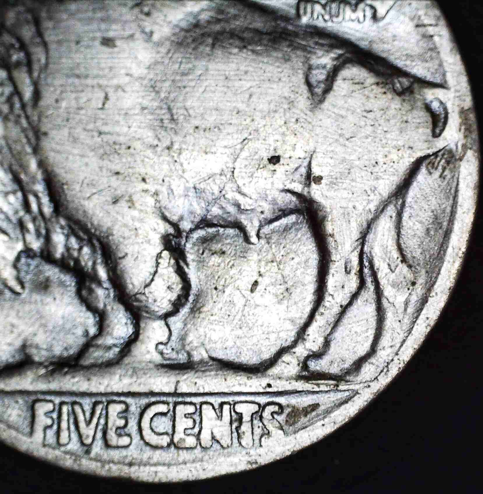 __35-Buffalo-Nickel.